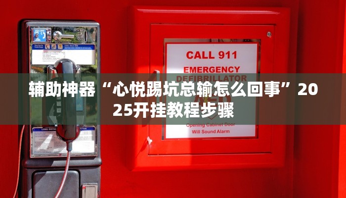 教程辅助“九酷大厅开挂透视软件”其实确实有挂 教程辅助“九酷大厅开挂透视软件”其实确实有挂