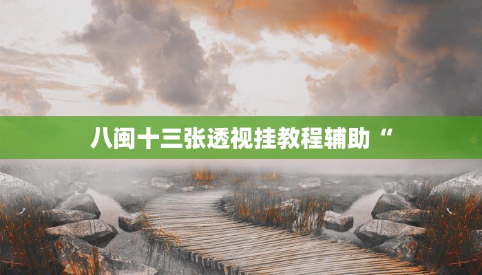 八闽十三张透视挂教程辅助“