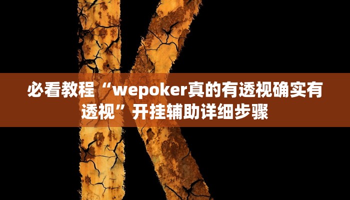 必看教程“wepoker真的有透视确实有透视”开挂辅助详细步骤
