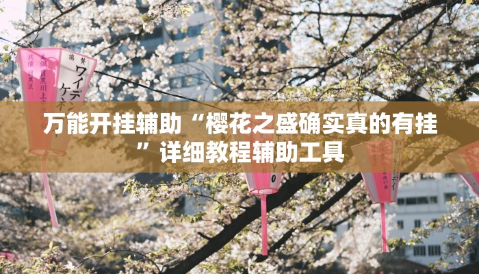 实测教程”微信开心十三张开挂方法”开挂(透视)辅助教程