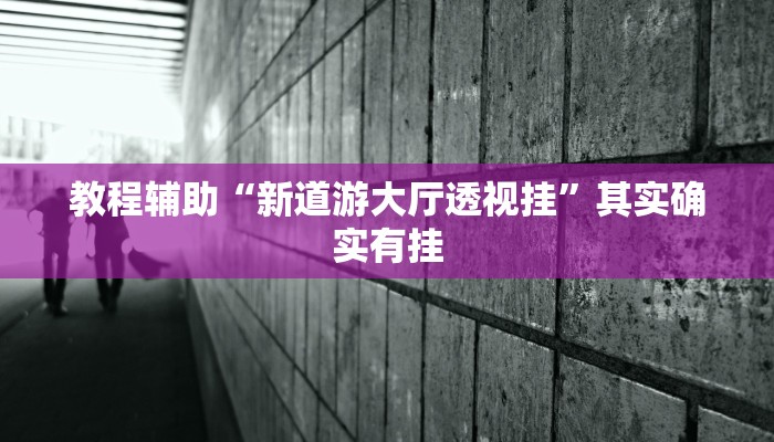 教程辅助“新道游大厅透视挂”其实确实有挂