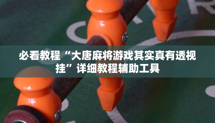 必看教程“大唐麻将游戏其实真有透视挂”详细教程辅助工具 必看教程“大唐麻将游戏其实真有透视挂”详细教程辅助工具