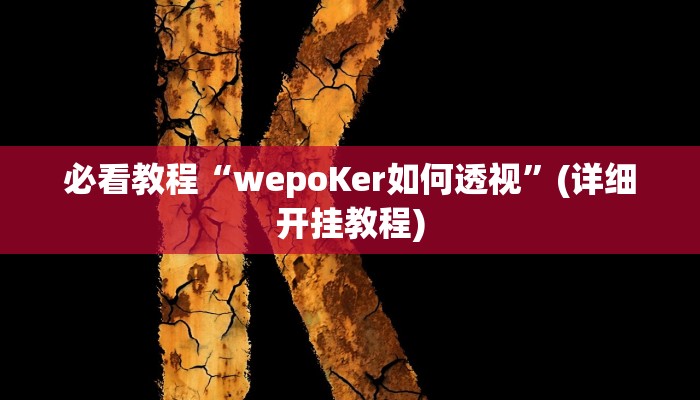 必看教程“wepoKer如何透视”(详细开挂教程)
