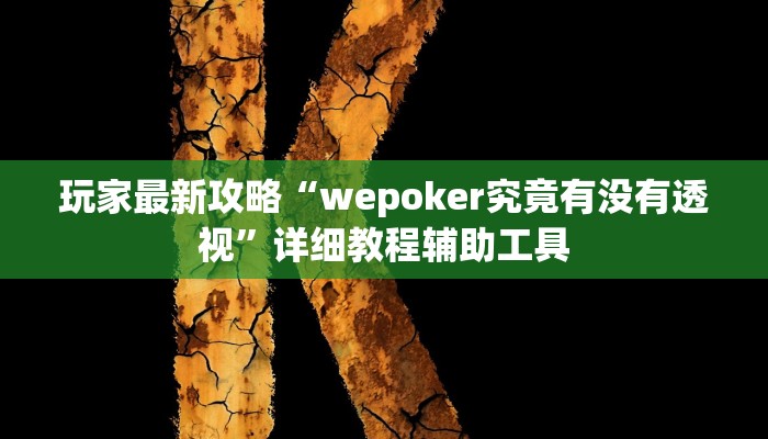 玩家最新攻略“wepoker究竟有没有透视”详细教程辅助工具