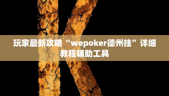 玩家最新攻略“wepoker德州挂”详细教程辅助工具