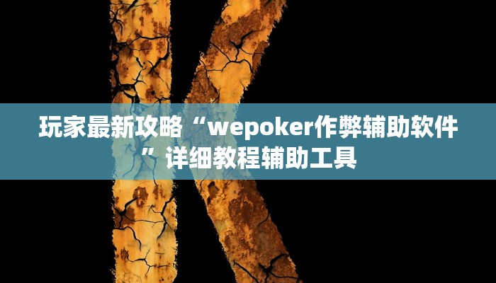 玩家最新攻略“wepoker作弊辅助软件”详细教程辅助工具