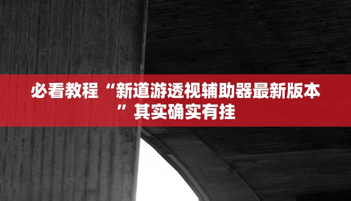 必看教程“新道游透视辅助器最新版本”其实确实有挂