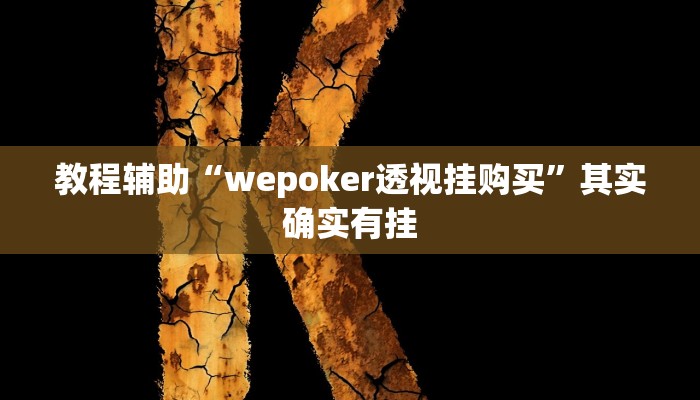 教程辅助“wepoker透视挂购买”其实确实有挂